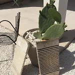 Affittacamere Trulli Paradise - Con Piscina Privata Ostuni