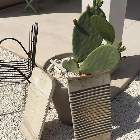 Pensión Trulli Paradise - Privata Con Piscina Ostuni